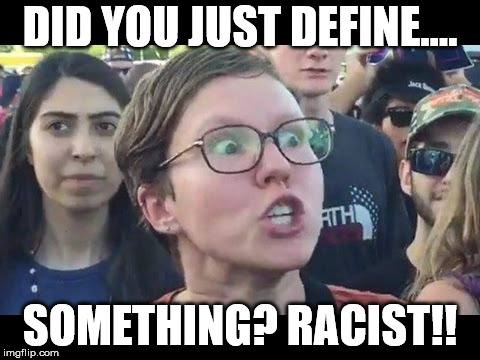 Angry sjw | DID YOU JUST DEFINE.... SOMETHING? RACIST!! | image tagged in angry sjw | made w/ Imgflip meme maker