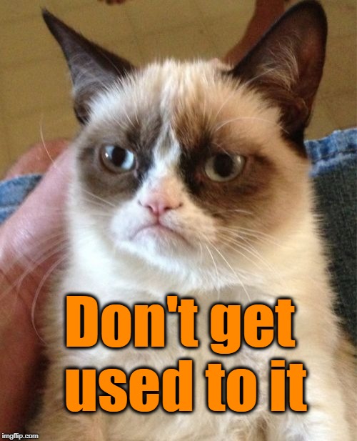 Grumpy Cat Meme | Don't get used to it | image tagged in memes,grumpy cat | made w/ Imgflip meme maker