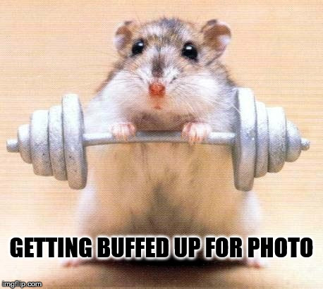 GETTING BUFFED UP FOR PHOTO | made w/ Imgflip meme maker