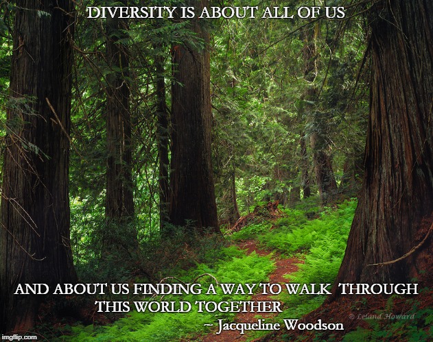 Diversity | DIVERSITY IS ABOUT ALL OF US; AND ABOUT US FINDING A WAY TO WALK  THROUGH THIS WORLD TOGETHER                                            ~ Jacqueline Woodson | made w/ Imgflip meme maker