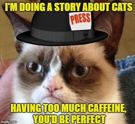 HAVING TOO MUCH CAFFEINE, YOU'D BE PERFECT I'M DOING A STORY ABOUT CATS | made w/ Imgflip meme maker