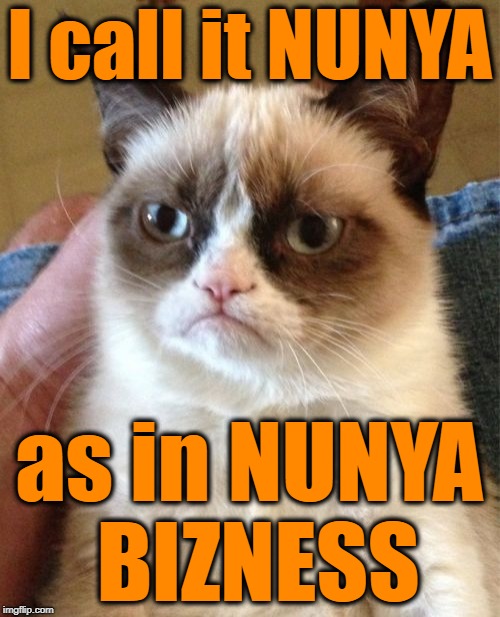 Grumpy Cat Meme | I call it NUNYA as in NUNYA BIZNESS | image tagged in memes,grumpy cat | made w/ Imgflip meme maker