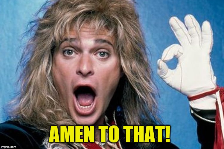 David Lee Roth | AMEN TO THAT! | image tagged in david lee roth | made w/ Imgflip meme maker