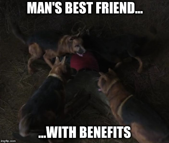 MAN'S BEST FRIEND... ...WITH BENEFITS | image tagged in joe dirt 2 | made w/ Imgflip meme maker