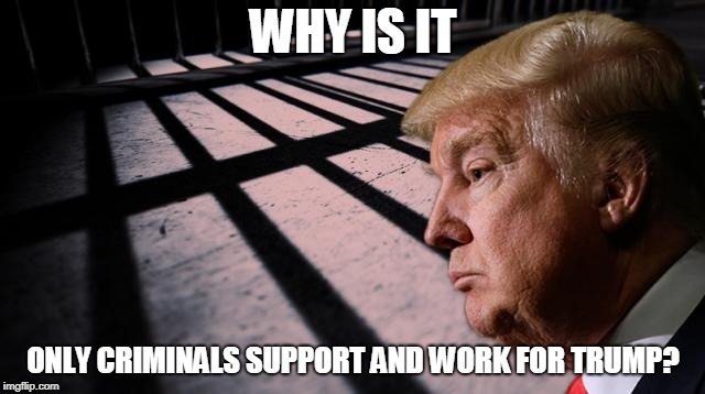 CRIMINAL | WHY IS IT; ONLY CRIMINALS SUPPORT AND WORK FOR TRUMP? | image tagged in why,trump,support,criminal,treason,lock him up | made w/ Imgflip meme maker