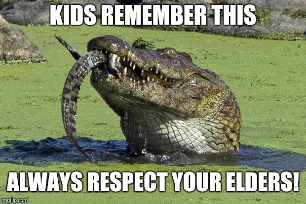 Cannibal Croc | KIDS REMEMBER THIS; ALWAYS RESPECT YOUR ELDERS! | image tagged in memes,cannibal croc | made w/ Imgflip meme maker