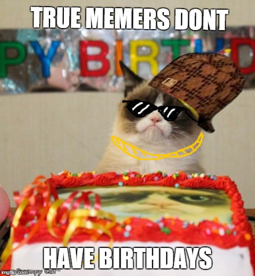 Grumpy Cat Birthday | TRUE MEMERS DONT; HAVE BIRTHDAYS | image tagged in memes,grumpy cat birthday,grumpy cat,scumbag | made w/ Imgflip meme maker
