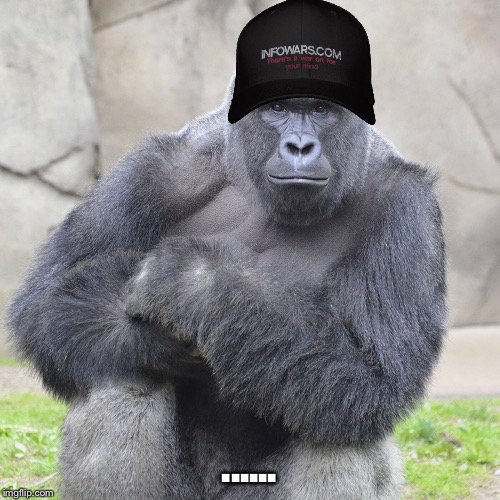 Remember | ...... | image tagged in harambe,infowars | made w/ Imgflip meme maker