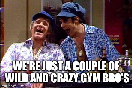 Wild and crazy guys snl | WE'RE JUST A COUPLE OF WILD AND CRAZY GYM BRO'S | image tagged in wild and crazy guys snl | made w/ Imgflip meme maker