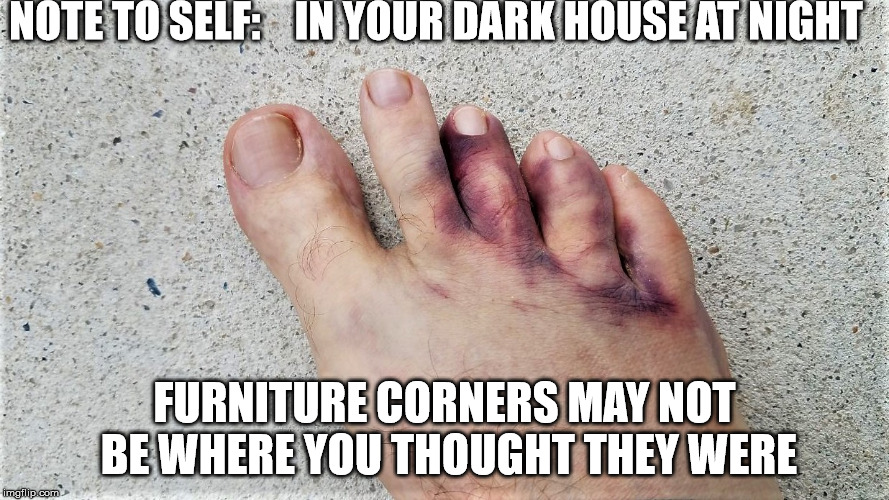 NOTE TO SELF:    IN YOUR DARK HOUSE AT NIGHT; FURNITURE CORNERS MAY NOT BE WHERE YOU THOUGHT THEY WERE | image tagged in 240 lts | made w/ Imgflip meme maker