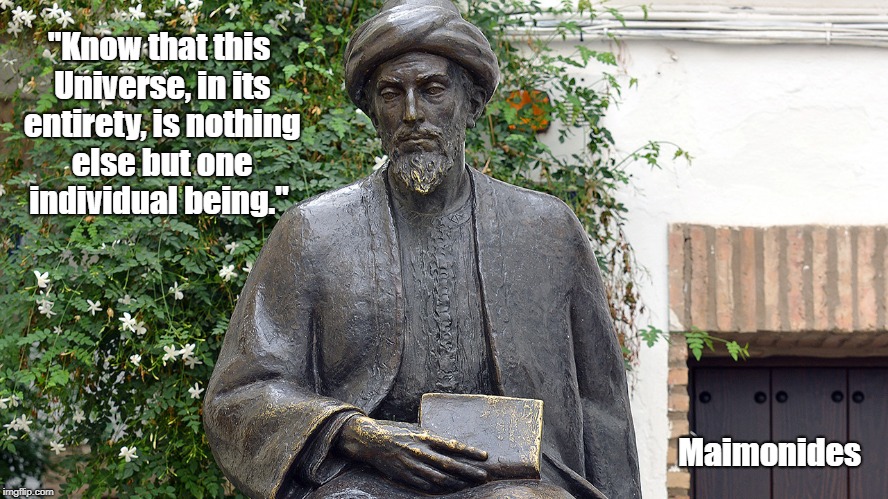 "Know that this Universe, in its entirety, is nothing else but one individual being." Maimonides | made w/ Imgflip meme maker