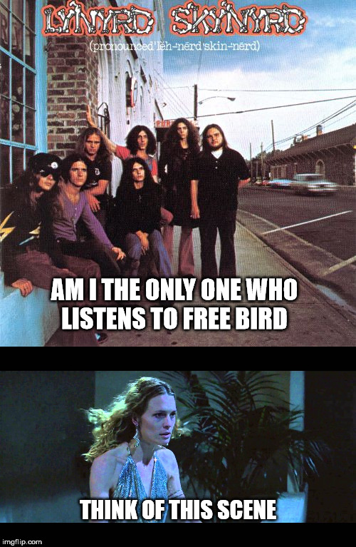 free bird | AM I THE ONLY ONE WHO LISTENS TO FREE BIRD; THINK OF THIS SCENE | image tagged in forest gump | made w/ Imgflip meme maker