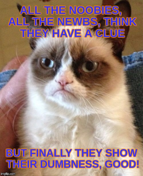 Grumpy Cat | ALL THE NOOBIES, ALL THE NEWBS, THINK THEY HAVE A CLUE; BUT FINALLY THEY SHOW THEIR DUMBNESS, GOOD! | image tagged in memes,grumpy cat | made w/ Imgflip meme maker