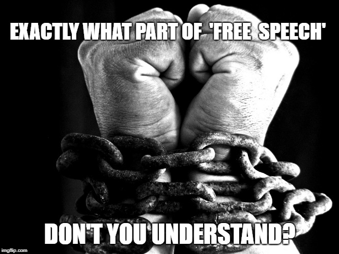 We're doomed. | EXACTLY WHAT PART OF  'FREE  SPEECH'; DON'T YOU UNDERSTAND? | image tagged in free speech,fascism,liberals,college liberal,constitution,freedom | made w/ Imgflip meme maker