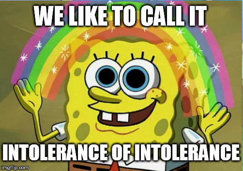 WE LIKE TO CALL IT INTOLERANCE OF INTOLERANCE | made w/ Imgflip meme maker
