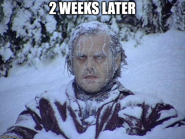 Jack Nicholson The Shining Snow Meme | 2 WEEKS LATER | image tagged in memes,jack nicholson the shining snow | made w/ Imgflip meme maker