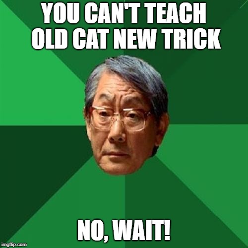 High Expectations Asian Father Meme | YOU CAN'T TEACH OLD CAT NEW TRICK NO, WAIT! | image tagged in memes,high expectations asian father | made w/ Imgflip meme maker