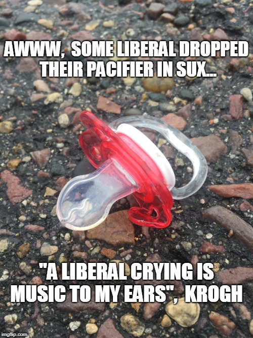 liberal pacifier | AWWW,  SOME LIBERAL DROPPED THEIR PACIFIER IN SUX... "A LIBERAL CRYING IS MUSIC TO MY EARS",  KROGH | image tagged in lib,libs,crying | made w/ Imgflip meme maker