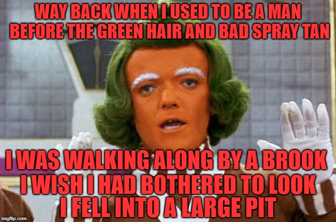 Oompa Loompa | WAY BACK WHEN I USED TO BE A MAN BEFORE THE GREEN HAIR AND BAD SPRAY TAN I WAS WALKING ALONG BY A BROOK I WISH I HAD BOTHERED TO LOOK I FELL | image tagged in oompa loompa | made w/ Imgflip meme maker