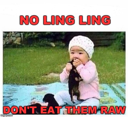 YUM! | NO LING LING; DON'T EAT THEM RAW | image tagged in kid,eating,kittens,just a joke,funny meme | made w/ Imgflip meme maker