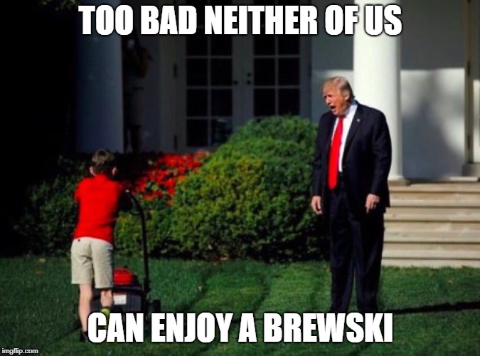 Trump yells at lawnmower kid | TOO BAD NEITHER OF US; CAN ENJOY A BREWSKI | image tagged in trump yells at lawnmower kid | made w/ Imgflip meme maker