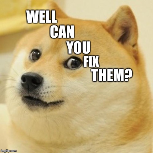 Doge Meme | WELL CAN YOU FIX THEM? | image tagged in memes,doge | made w/ Imgflip meme maker