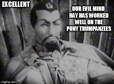 OUR EVIL MIND RAY HAS WORKED WELL ON THE PUNY TRUMPANZEES; EXCELLENT | image tagged in ming | made w/ Imgflip meme maker
