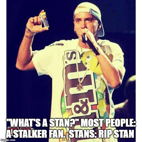 "WHAT'S A STAN?"
MOST PEOPLE: A STALKER FAN. 
STANS: RIP STAN | image tagged in eminem,celebrity | made w/ Imgflip meme maker