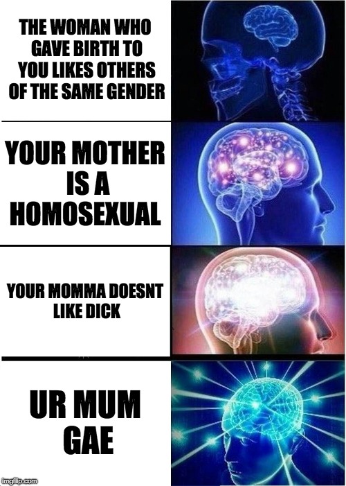 Expanding Brain Meme | THE WOMAN WHO GAVE BIRTH TO YOU LIKES OTHERS OF THE SAME GENDER; YOUR MOTHER IS A HOMOSEXUAL; YOUR MOMMA DOESNT LIKE DICK; UR MUM GAE | image tagged in memes,expanding brain | made w/ Imgflip meme maker