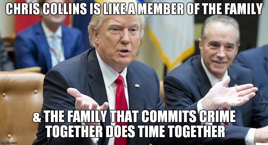 How Much Time Is This Chris Collins Worth | CHRIS COLLINS IS LIKE A MEMBER OF THE FAMILY; & THE FAMILY THAT COMMITS CRIME TOGETHER DOES TIME TOGETHER | image tagged in chris collins,donald trump | made w/ Imgflip meme maker