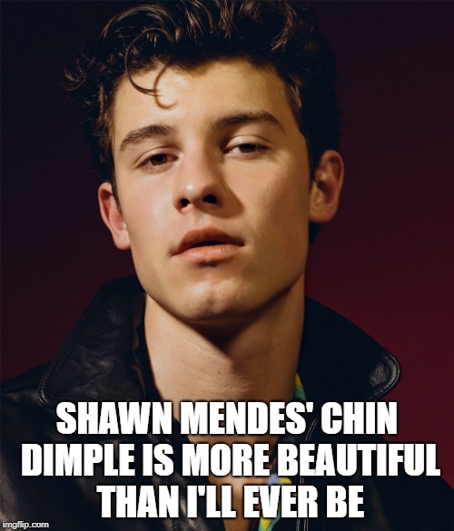 SHAWN MENDES' CHIN DIMPLE IS MORE BEAUTIFUL THAN I'LL EVER BE | image tagged in shawn mendes,celebrity | made w/ Imgflip meme maker