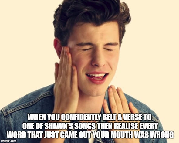 WHEN YOU CONFIDENTLY BELT A VERSE TO ONE OF SHAWN'S SONGS THEN REALISE EVERY WORD THAT JUST CAME OUT YOUR MOUTH WAS WRONG | image tagged in shawn mendes,celebrity | made w/ Imgflip meme maker