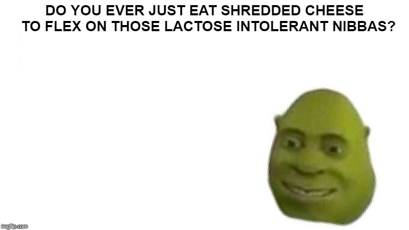 Shrek flex | DO YOU EVER JUST EAT SHREDDED CHEESE  TO FLEX ON THOSE LACTOSE INTOLERANT NIBBAS? | image tagged in shrek flex | made w/ Imgflip meme maker
