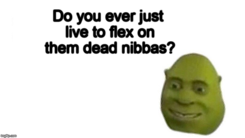 Dead Nibbas | Do you ever just live to flex on them dead nibbas? | image tagged in shrek flex | made w/ Imgflip meme maker