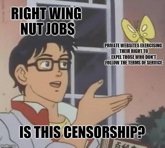 Is This A Pigeon | RIGHT WING NUT JOBS; PRIVATE WEBSITES EXERCISING THEIR RIGHT TO EXPEL THOSE WHO DON'T FOLLOW THE TERMS OF SERVICE; IS THIS CENSORSHIP? | image tagged in memes,is this a pigeon | made w/ Imgflip meme maker