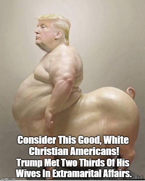 "Consider This, Good, White Christian Trumpistas! | Consider This Good, White Christian Americans! Trump Met Two Thirds Of His Wives In Extramarital Affairs. | image tagged in christian conservatives,trump,deplorable donald,despicable donald,devious donald,cheater-in-chief | made w/ Imgflip meme maker