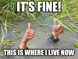 FLOODING THUMBS UP | IT'S FINE! THIS IS WHERE I LIVE NOW | image tagged in flooding thumbs up | made w/ Imgflip meme maker