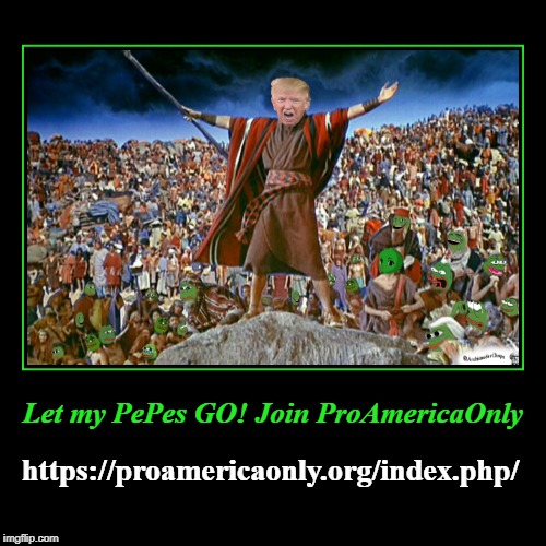 Let my PePes GO! Join ProAmericaOnly | Let my PePes GO! Join ProAmericaOnly | https://proamericaonly.org/index.php/ | image tagged in proamericaonly,pepe the frog | made w/ Imgflip demotivational maker