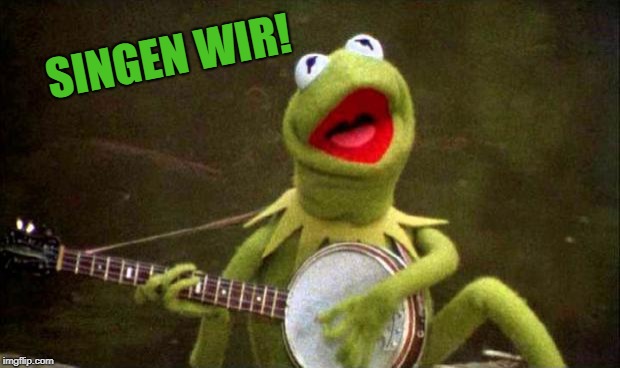 Why Kermit Banjo | SINGEN WIR! | image tagged in why kermit banjo | made w/ Imgflip meme maker