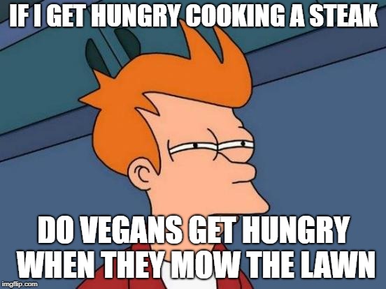 Futurama Fry Meme | IF I GET HUNGRY COOKING A STEAK; DO VEGANS GET HUNGRY WHEN THEY MOW THE LAWN | image tagged in memes,futurama fry | made w/ Imgflip meme maker