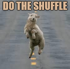dancing sheep | DO THE SHUFFLE | image tagged in dancing sheep | made w/ Imgflip meme maker