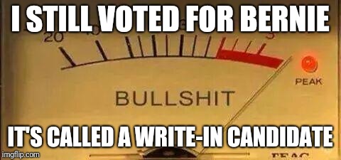 Bullshit Meter | I STILL VOTED FOR BERNIE IT'S CALLED A WRITE-IN CANDIDATE | image tagged in bullshit meter | made w/ Imgflip meme maker