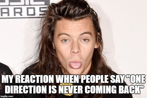 MY REACTION WHEN PEOPLE SAY "ONE DIRECTION IS NEVER COMING BACK" | image tagged in celebrity,one direction | made w/ Imgflip meme maker