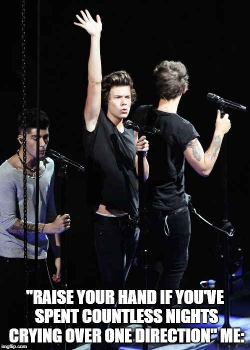 "RAISE YOUR HAND IF YOU'VE SPENT COUNTLESS NIGHTS CRYING OVER ONE DIRECTION"
ME: | image tagged in one direction | made w/ Imgflip meme maker