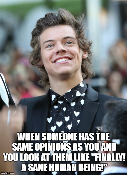 WHEN SOMEONE HAS THE SAME OPINIONS AS YOU AND YOU LOOK AT THEM LIKE "FINALLY! A SANE HUMAN BEING!" | image tagged in harry styles | made w/ Imgflip meme maker
