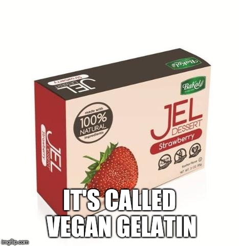 IT'S CALLED VEGAN GELATIN | made w/ Imgflip meme maker