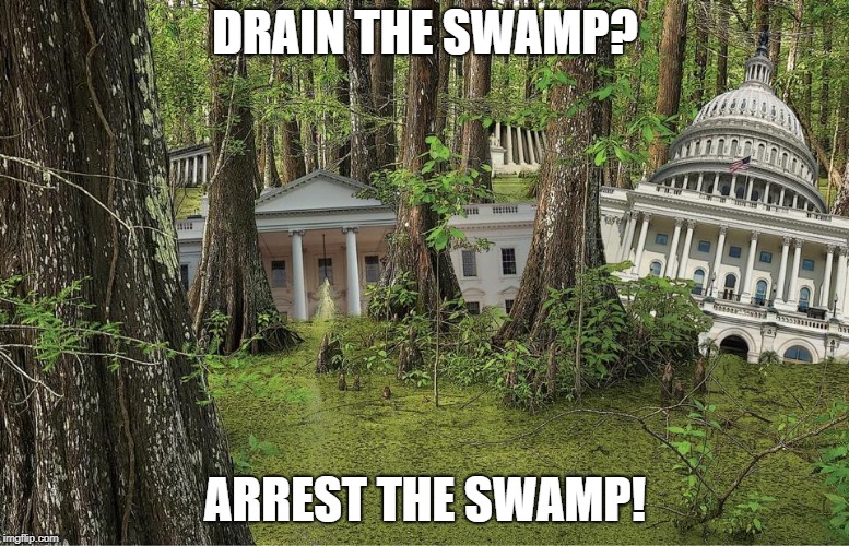 Swampington D.C. | DRAIN THE SWAMP? ARREST THE SWAMP! | image tagged in swampington dc | made w/ Imgflip meme maker