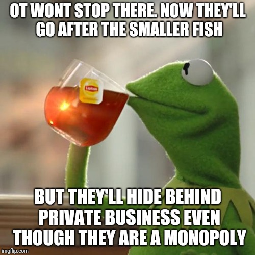 But That's None Of My Business Meme | OT WONT STOP THERE. NOW THEY'LL GO AFTER THE SMALLER FISH BUT THEY'LL HIDE BEHIND PRIVATE BUSINESS EVEN THOUGH THEY ARE A MONOPOLY | image tagged in memes,but thats none of my business,kermit the frog | made w/ Imgflip meme maker