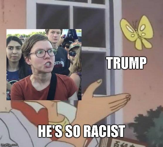 Is This A Pigeon Meme | TRUMP; HE'S SO RACIST | image tagged in memes,is this a pigeon | made w/ Imgflip meme maker
