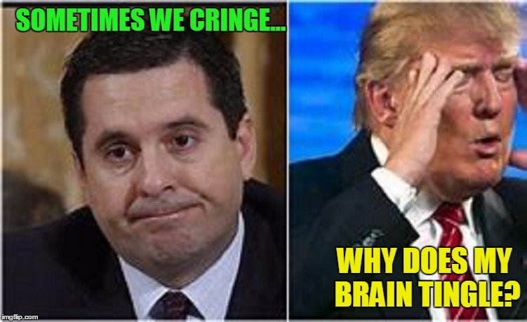 Trump tweeting truth! How they really feel! | SOMETIMES WE CRINGE... WHY DOES MY BRAIN TINGLE? | image tagged in pathetic devin nunes,donald trump,trump tweet,republicans | made w/ Imgflip meme maker